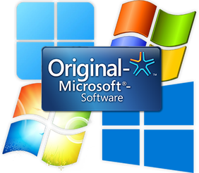 Microsoft Windows Logo